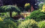 Chester Zoological Gardens
